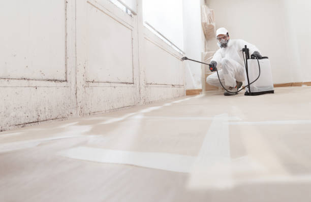 24/7 Emergency Mold Inspection experts in Hillside, NJ