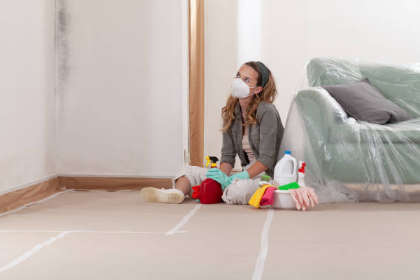 Reliable Mold Remediation contractor in Hillside, NJ by Cheap Mold Removal
